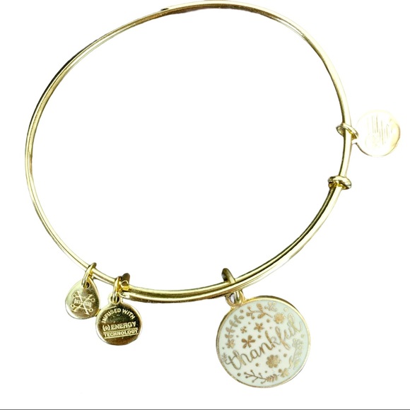 Alex and Ani Thankful Charm Bangle Bracelet - Picture 9 of 9
